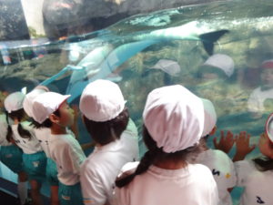 âæµ·éé¤¨6.17-1